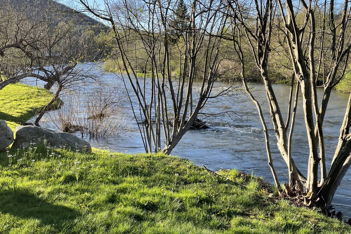 The Allegheny River flowing past a grassy bank and trees during Jim and Anne's 2021 campground stay
